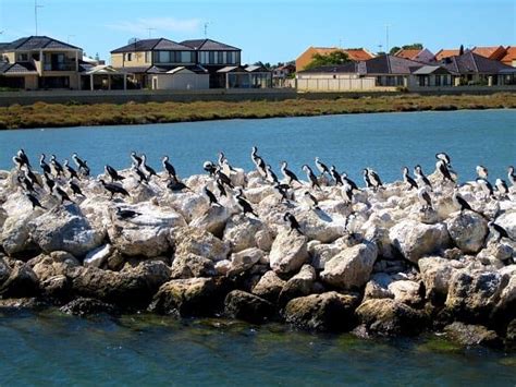 A Day-Trip to Mandurah, WA | InspiringTravellers.com