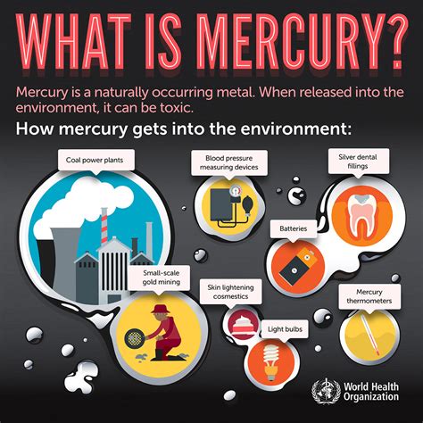 What is Mercury ️ Medical College Directory