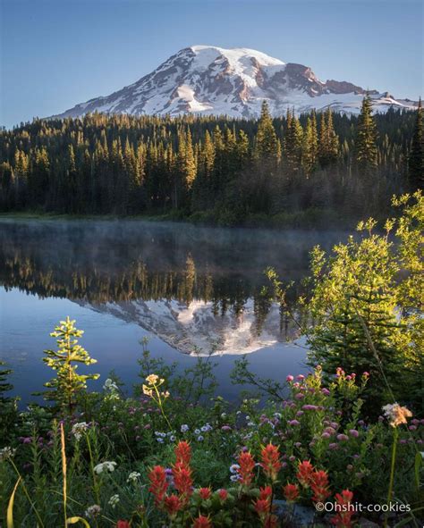 Mount Rainier Reflection Lake shortly after sunrise [OC](5809x7261 ...