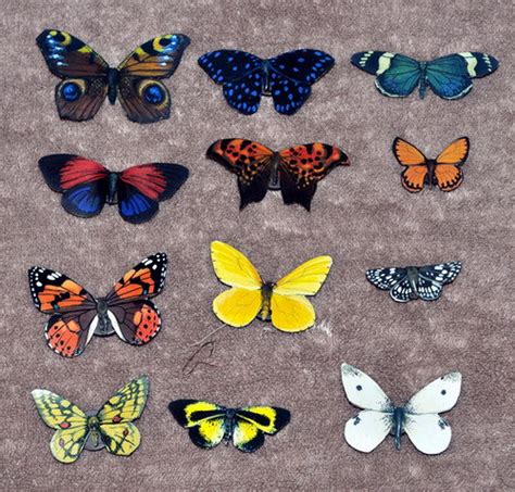 Butterfly Magnets Refrigerator Magnets Set of 12 Insects - Etsy