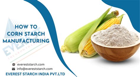 HOW TO CORN STARCH MANUFACTURING – Everest Starch Pvt Ltd