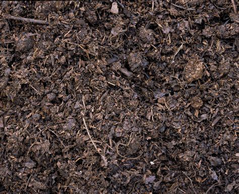 Make your own compost mix | Kew