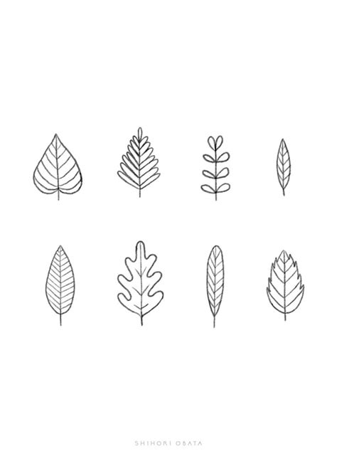 30 Easy Ways to Draw Plants & Leaves in 2021 | Leaf drawing, Easy doodles drawings, Plant leaves