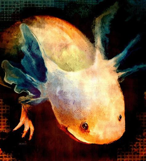 Shining Axolotl | Axolotl, Axolotl cute, Animal drawings