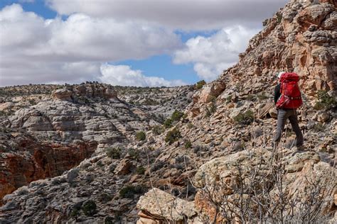 Desert Hiking: 20 Things to Know | Expert Hiking Advice