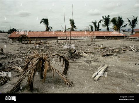 La catastrophe du mont Pinatubo LAHAR Février 1991 L'ÉCOLE PRIMAIRE EN PARULOG SUBMERGÉES ...