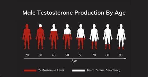 What Are Normal Testosterone Levels in Men by Age? - EVOLVE