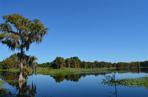 Florida Gone Wild: Withlacoochee State Trail | TrailLink