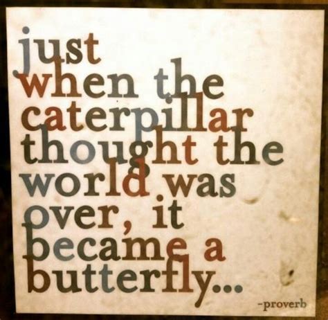 Caterpillar Quotes. QuotesGram