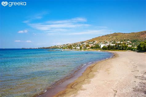 Best 10+ Beaches in Aegina, Greece | Greeka