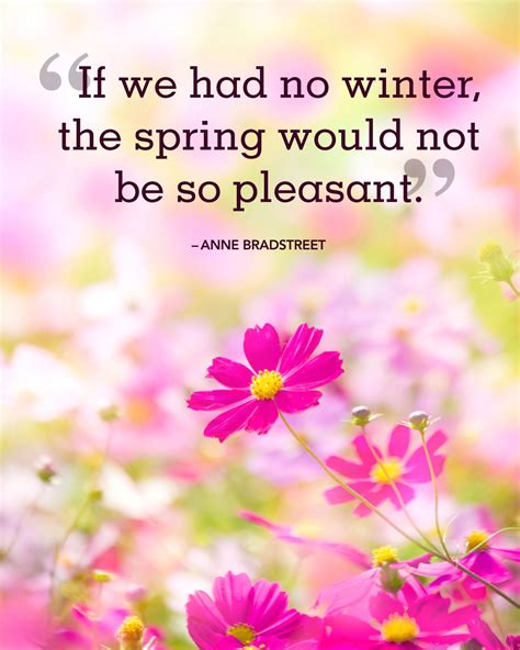 The Sweetest Spring Quotes to Welcome the Season of Renewal | Spring quotes flowers, Spring ...