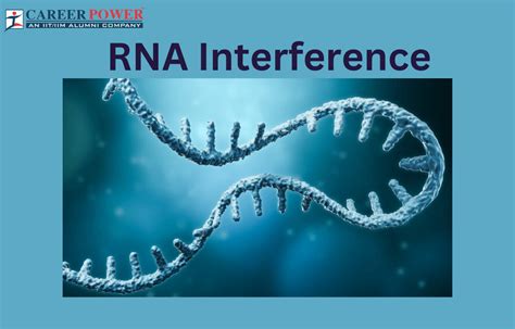 RNA Interference-Definition, Mechanism & Applications