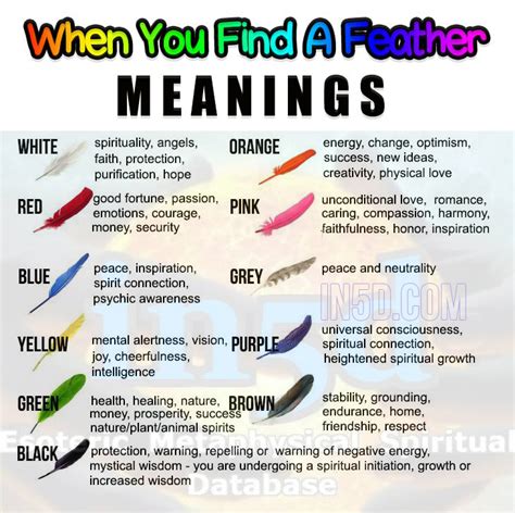 This Is What Different Feather Colors Mean - In5D Esoteric, Metaphysical, and Spiritual Database ...