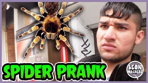 SPIDER PRANK! - YouTube