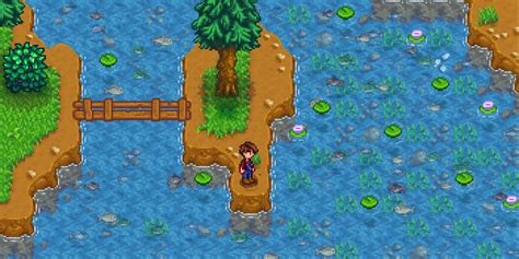 Stardew Valley: Where to Catch Catfish