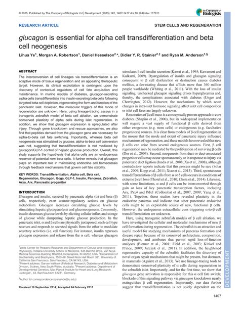 (PDF) Glucagon is essential for alpha cell transdifferentiation and ...