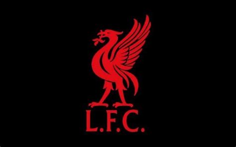 Pin by Sue Hart on Liverpool FC ⚽️ | Liverpool fc wallpaper, Liverpool ...