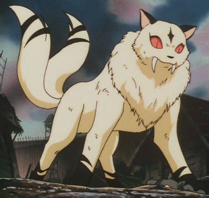 Kirara - InuYasha Wiki - a Wikia wiki