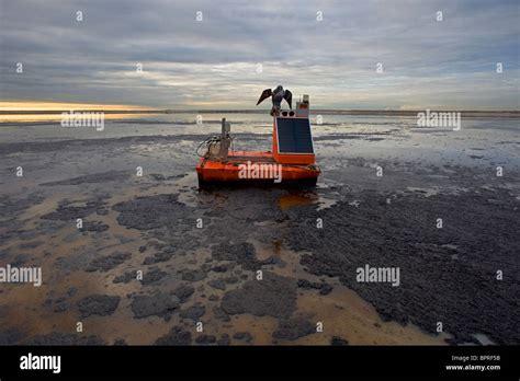 Albian Sands Tailings Pond, Fort McMurray, Canada Stock Photo - Alamy