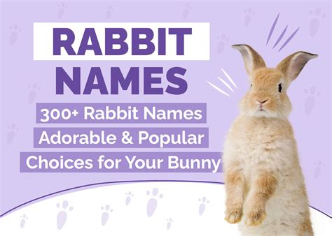 300 Rabbit Names: Adorable & Popular Choices for Your Bunny | Hepper