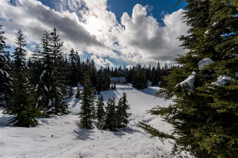 Cypress Mountain Snowshoeing | Mike Heller Photography | PhotoKaz.com