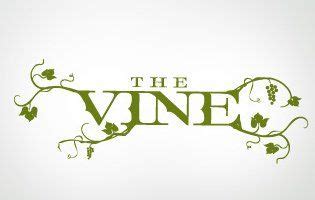 Wine logo design, Illustration logo, Vine logo