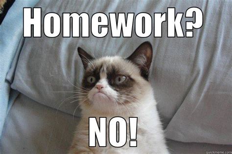 Funny Memes About Homework Funny Spider Man Memes About Homework Gif - Bracken Beffight1975