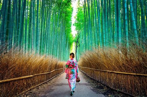 How to get to Arashiyama Bamboo Forest, Kyoto - all transport options ...