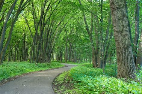 15 Scenic Trails for Hiking in Minnesota - Midwest Explored