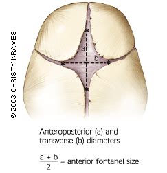 The Abnormal Fontanel | AAFP