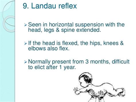 Image result for landau reflex | Reflexes, Landau, Primitive reflexes