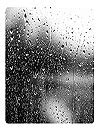 Borwap.com - Raindrops Live Wallpaper HD Download Android Live Wallpaper | Borwap Raindrops Live ...
