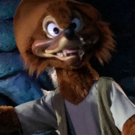 Brer Fox (@BriarPatchFox) | Twitter | America sings, Splash mountain, Disneyland history