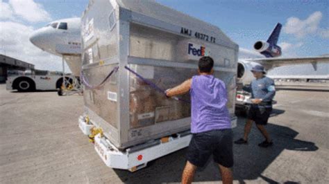 FedEx Donates Aid Supply Flight to Dominican Republic Flood Victims