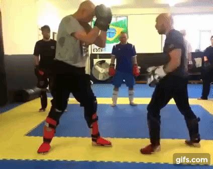 Martial Arts Gif, Self Defense Martial Arts, Martial Arts Workout, Mixed Martial Arts, Boxing ...