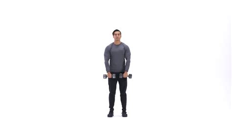 Standing dumbbell upright row | Exercise Videos & Guides | Bodybuilding.com