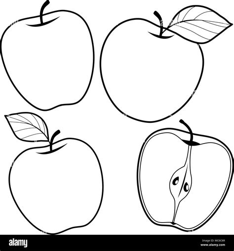 Apples. Vector black and white illustration Stock Vector Image & Art ...