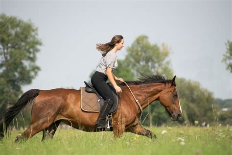 Wie lange braucht man, um reiten zu lernen? | daskleinepferd.de