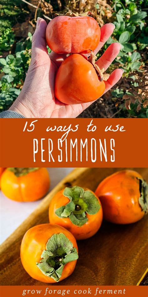 15 Persimmon Recipes: cakes, pies, jam, cocktails & more!