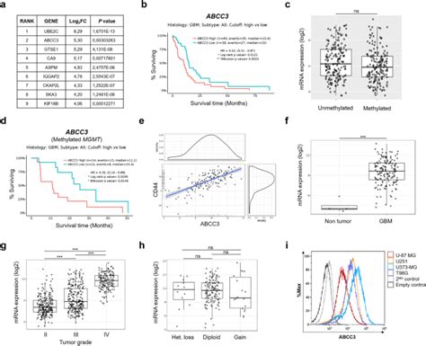 Nanobodies targeting ABCC3 for immunotargeted applications in glioblastoma | Scientific Reports