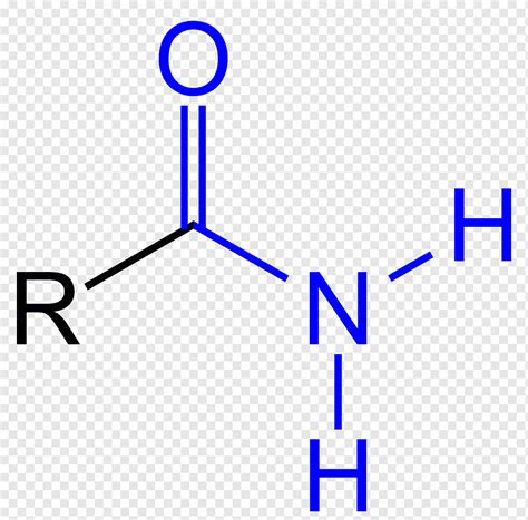 Amide Functional group Amine Carboxylic acid Carbonyl group, formula 1, angle, text, chemistry ...