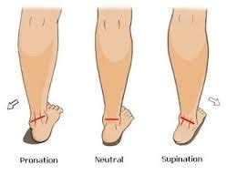 Foot pronation and supination explained by physiotherapists ...