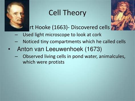 PPT - Cell Theory PowerPoint Presentation, free download - ID:2684385