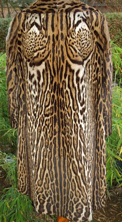 7 Interesting Ocelot Facts: Diet, Habitat, Behavior, Pics