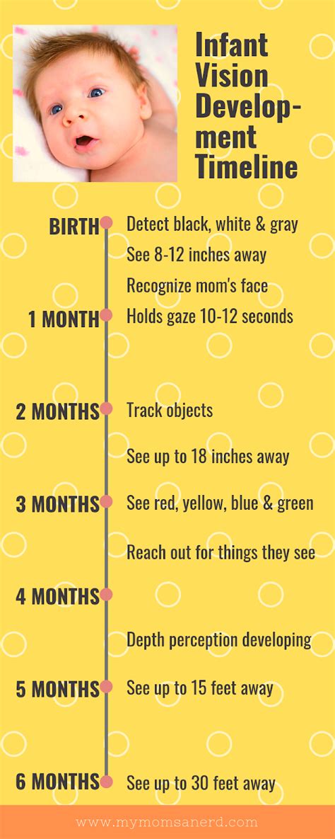 Infant Visual Development: A Timeline Infographic • My Mom's a Nerd