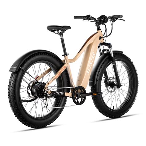 Aventure Ebike - Beyond Bikes