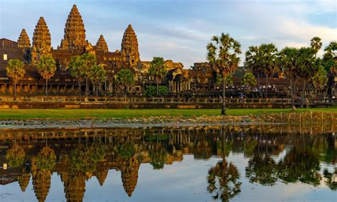 The ancient city of Angkor - A cup of wild