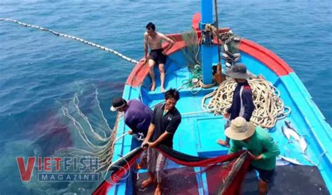 Enhance the effectiveness in fighting IUU fishing - Vietnam Fisheries ...