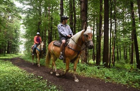 Horseback riding in Upstate NY: Where to go for lessons, trails, more - newyorkupstate.com