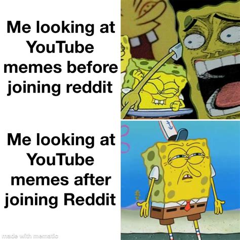 Reddit has best memes : r/memes